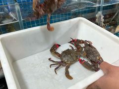 -宾朋海鲜饭庄(兴海路店)