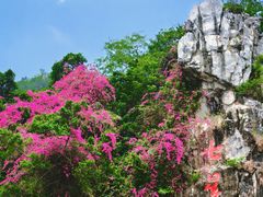 -星湖旅游景区七星岩