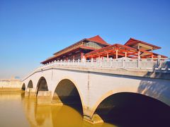 -大湾区中央湿地公园