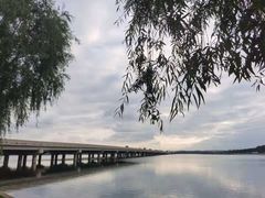 -丁香湖公园
