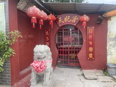 -汤山公园