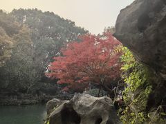 -惠山古镇·寄畅园