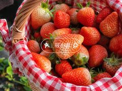 -小芳茶卖部(新都汇中心店)