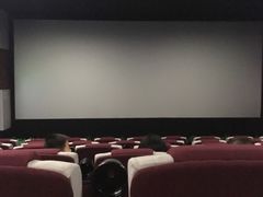 -中影星美国际影城(万家丽店)