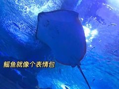 -多彩贵州城极地海洋世界