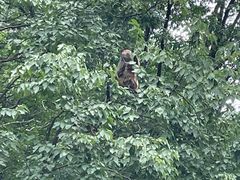 -北京上方山国家森林公园