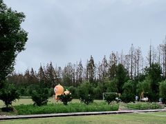 -前小桔亲子创意农场·草莓采摘·露营烧烤