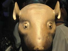 -广西壮族自治区博物馆