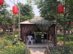 -草根堂农场