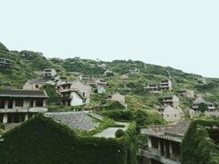 -枸杞岛