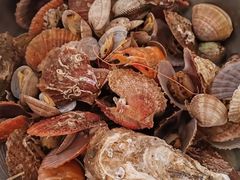 -赶海部落海鲜城(海阳路店)