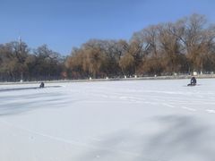 -北陵公园