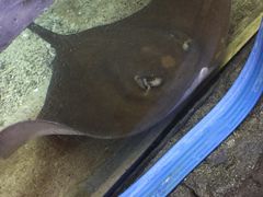 -鸿通城购物中心