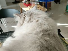 -平行世界·猫咖(首经贸店)
