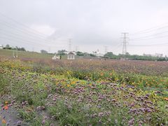 -紫颐香薰山谷景区