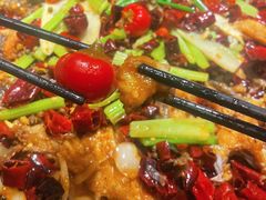 -老板恋上鱼(恒隆广场店)