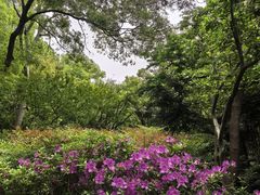 -汇龙潭