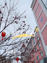-复旦大学附属妇产科医院(黄浦院区)