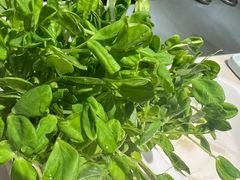 -浩爷羊蝎子火锅(望京店)
