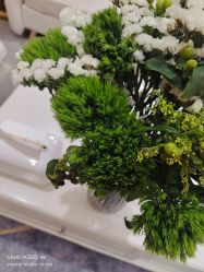 -HEYAN荷妍专业脱毛连锁机构