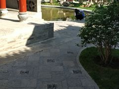-迎泽公园