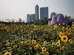 -海心沙亚运公园