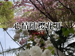 -西安市长乐公园