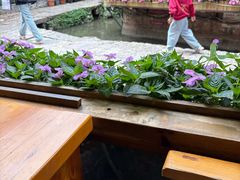 -民食香·腊排骨野生菌美食(木府店)