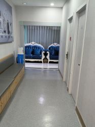 点击看大图 -青岛诺德医学美容医院