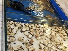 -川骄海鲜自助(河东店)