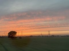 -兔途体检(十里堡青年路店)