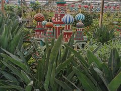 -南宫五洲植物乐园