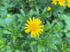 -蕃茄述·好汤自然来(江汉路店)