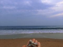 -三亚海棠湾万丽度假酒店