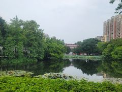 -荔湾湖公园