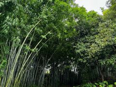 -玉树公园