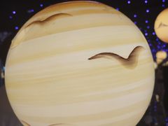 -深圳独角兽星空艺术馆