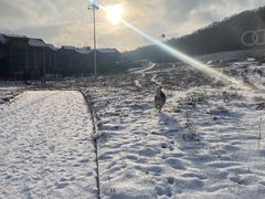 -长白山万达喜来登度假酒店