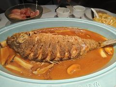 -阿五黄河大鲤鱼(英协路店)