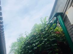 -顺承小院儿