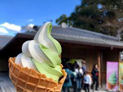 -豆政(金閣寺境内売店)