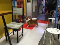 -小梁哥云吞面(黄贝岭店)