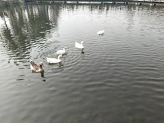 -恋乡太行水镇