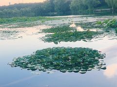 -承德避暑山庄景区