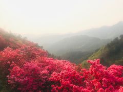 -木兰云雾山