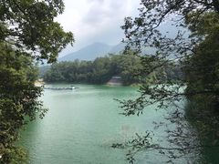 -广州市流溪河国家森林公园