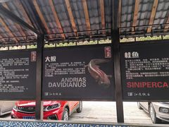 -江龙饭店·乌江豆腐鱼(乌江老桥头店)