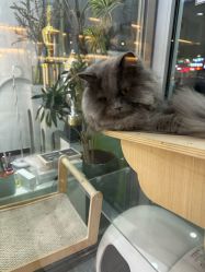 -甲骨文美甲美睫美容化妆