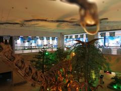 -甘肃地质博物馆