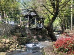 -东天目山风景区